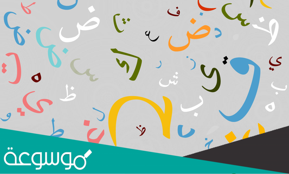 ماذا قيل في حرف الحاء للرجل
