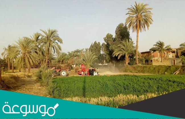 محافظات الوجه القبلي بالترتيب
