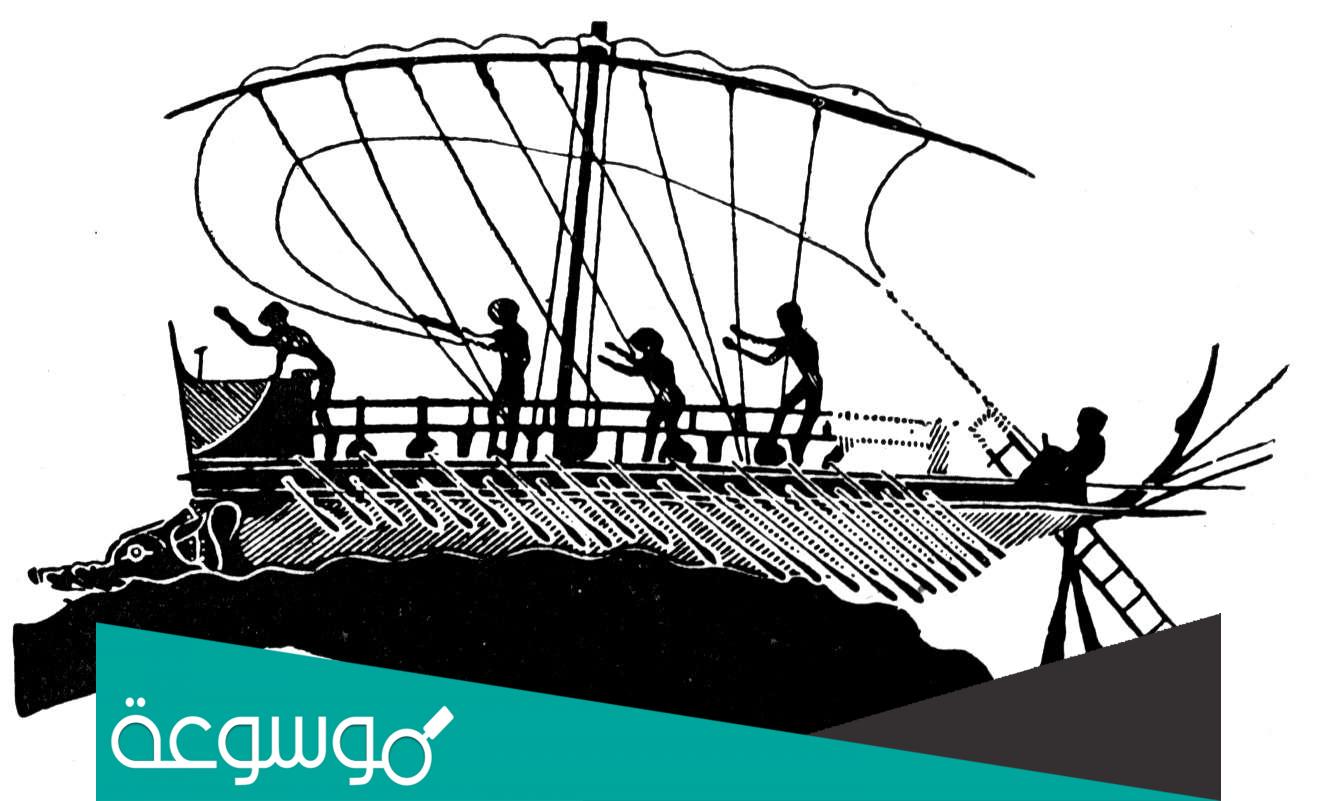 معلومات عن شخصيتي هيراقليس و ثيسيوس