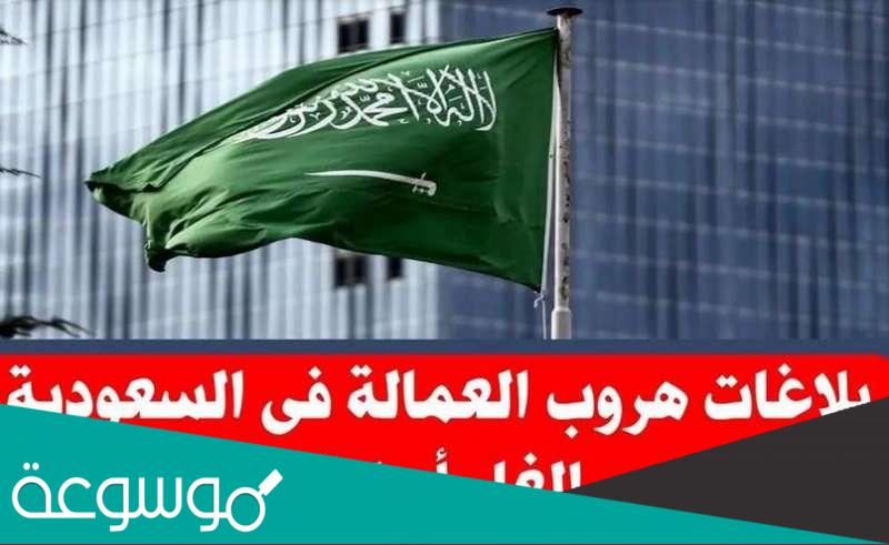هل تم الغاء بلاغ الهروب في السعودية .. حقيقة ذلك