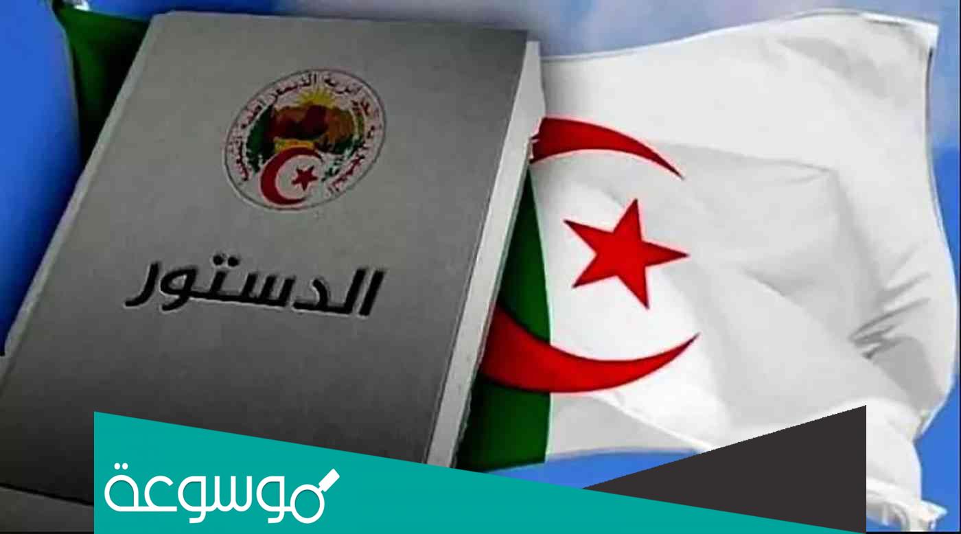 هل يوجد عفو رئاسي 1 نوفمبر 2022
