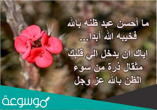 اجمل ما قيل عن رحمة الله عز وجل