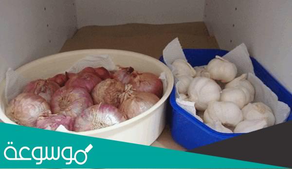 أفضل طرق تخزين البصل بكميات كبيرة