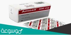 دواعي استعمال دواء amoxicillin 500mg والاثار الجانبية