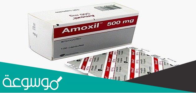 الجرعة المناسبة من دواء amoxicillin 500mg