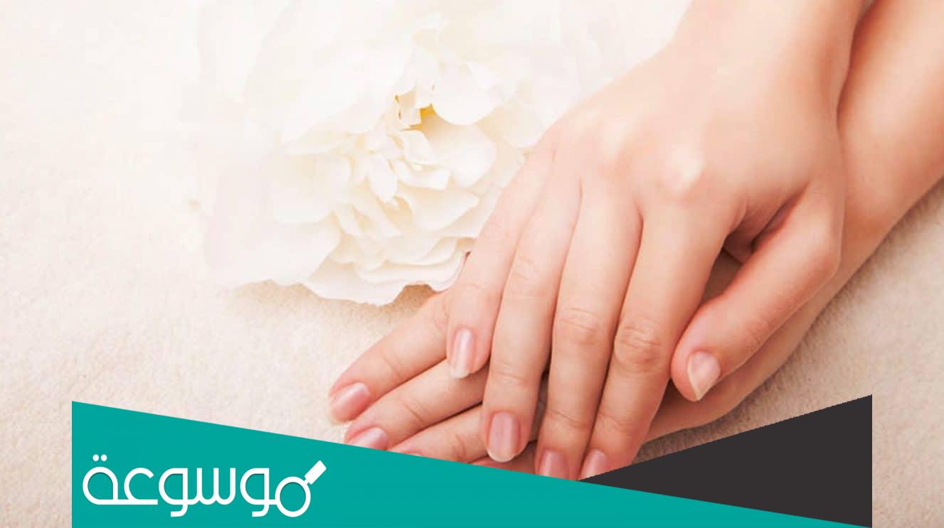 تجربتي في تسمين اليدين بالحلبه