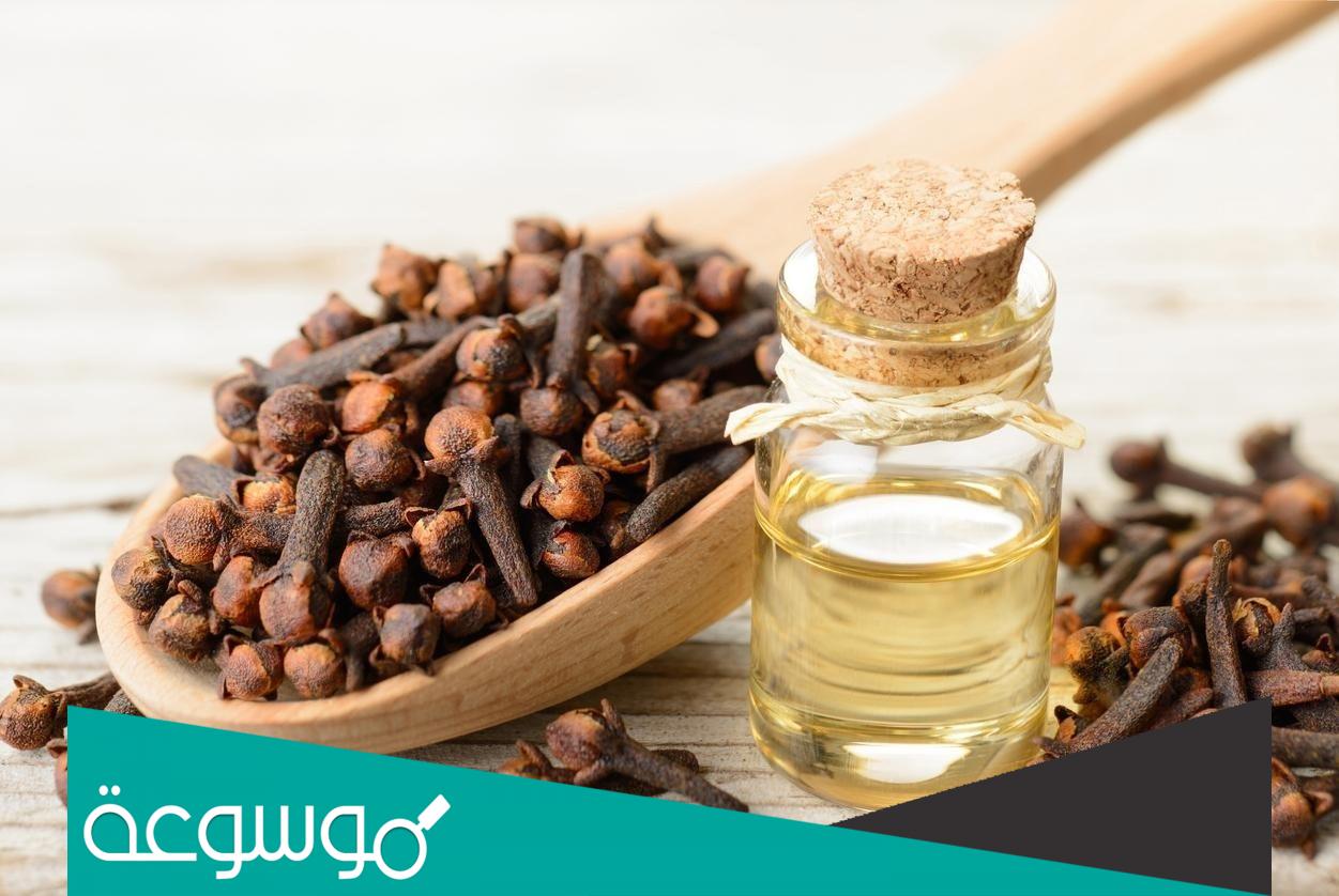 تجربتي مع زيت القرنفل للشعر
