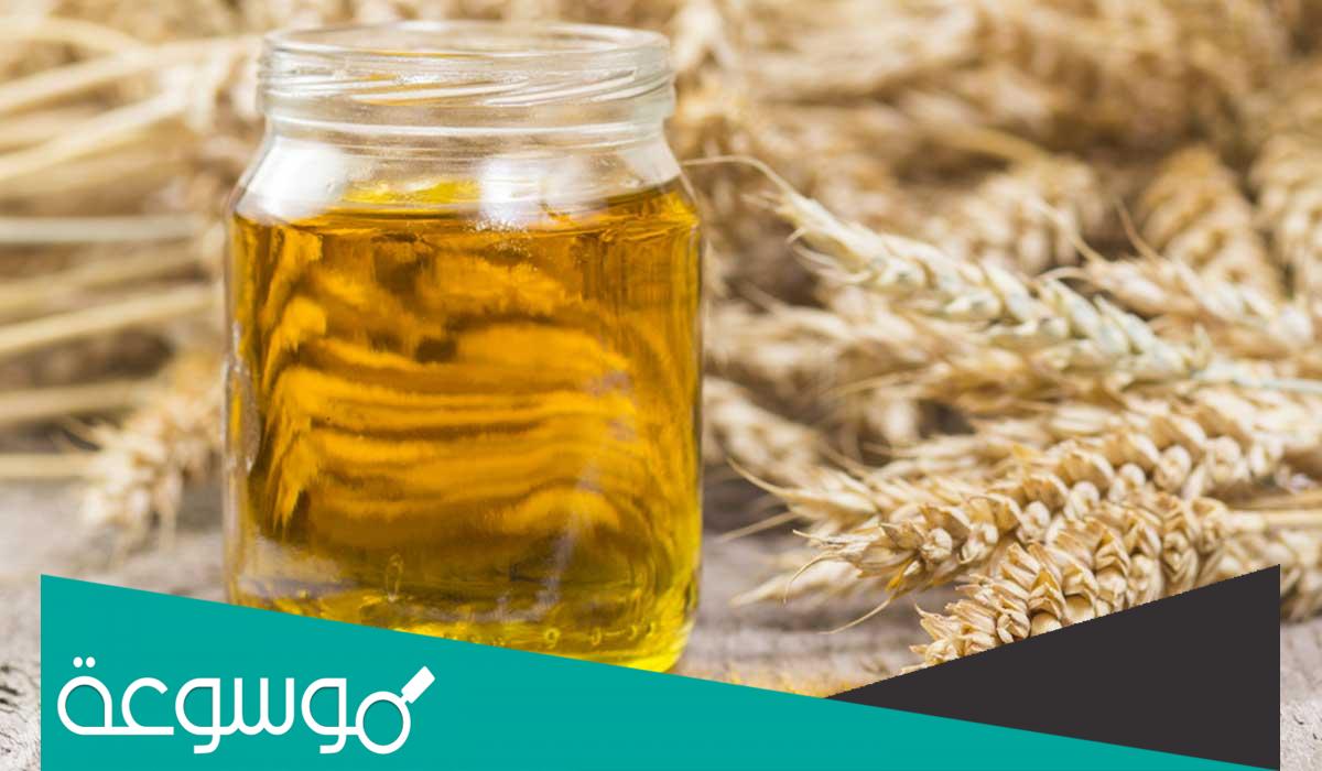 تجربتي مع زيت جنين القمح لتبييض البشرة