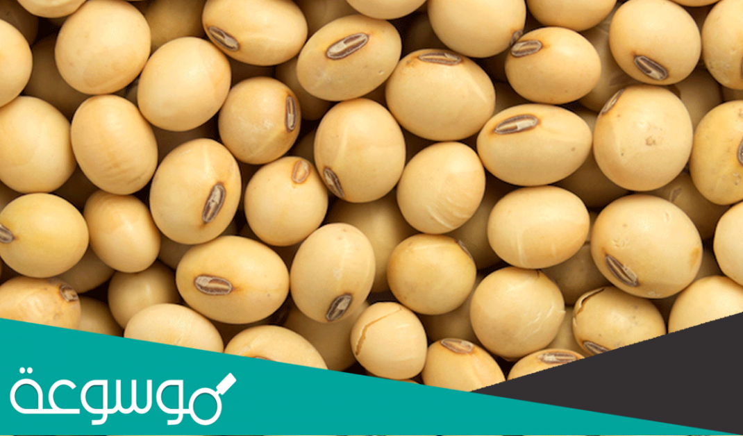 تجربتي مع فول الصويا المطحون