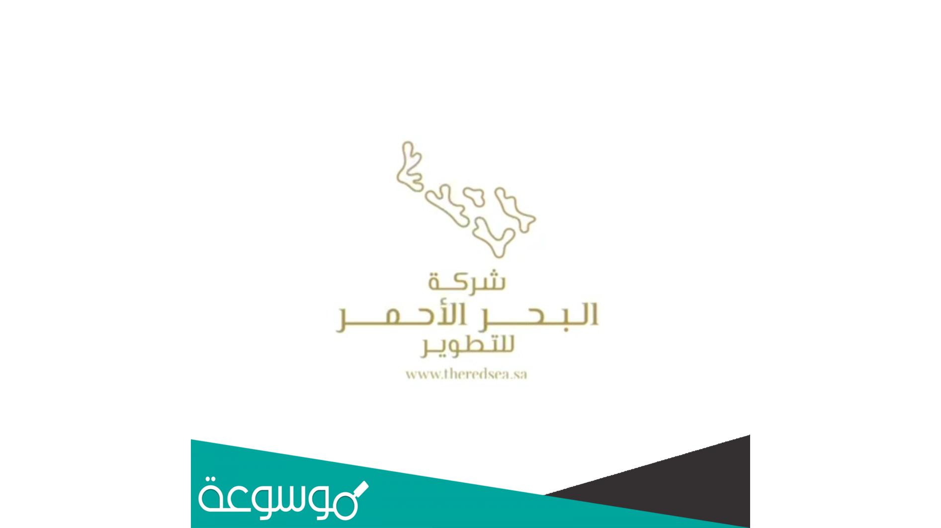 شركة البحر الأحمر تدريب منتهي بالتوظيف