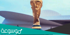 كم عدد حضور كاس العالم في قطر