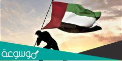 معلومات عن يوم العلم الإماراتي