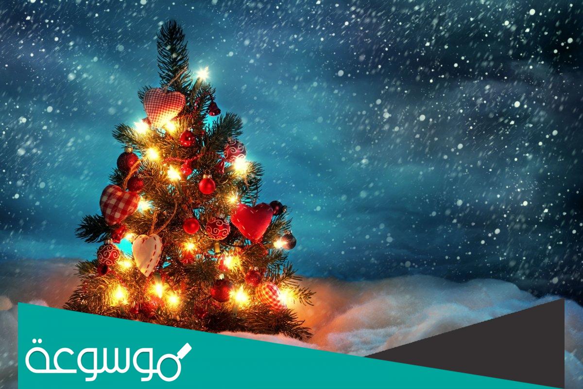 اين تباع شجرة الكريسماس في السعودية وكم سعرها
