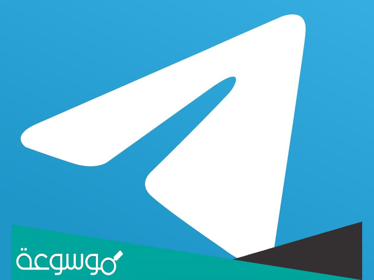 بوت بيت الربح العربي صادق ولا لا