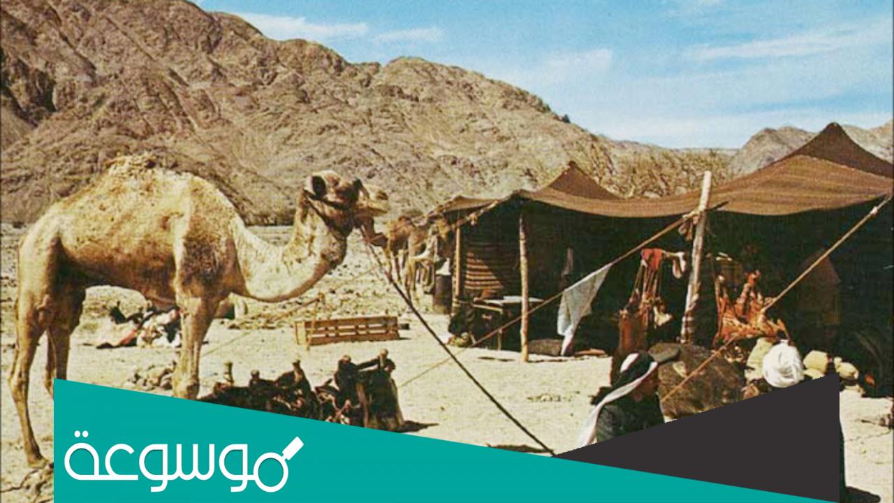 ماذا يقال عندما تخلص الدله