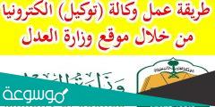نموذج وكالة خاصة للورثة pdf