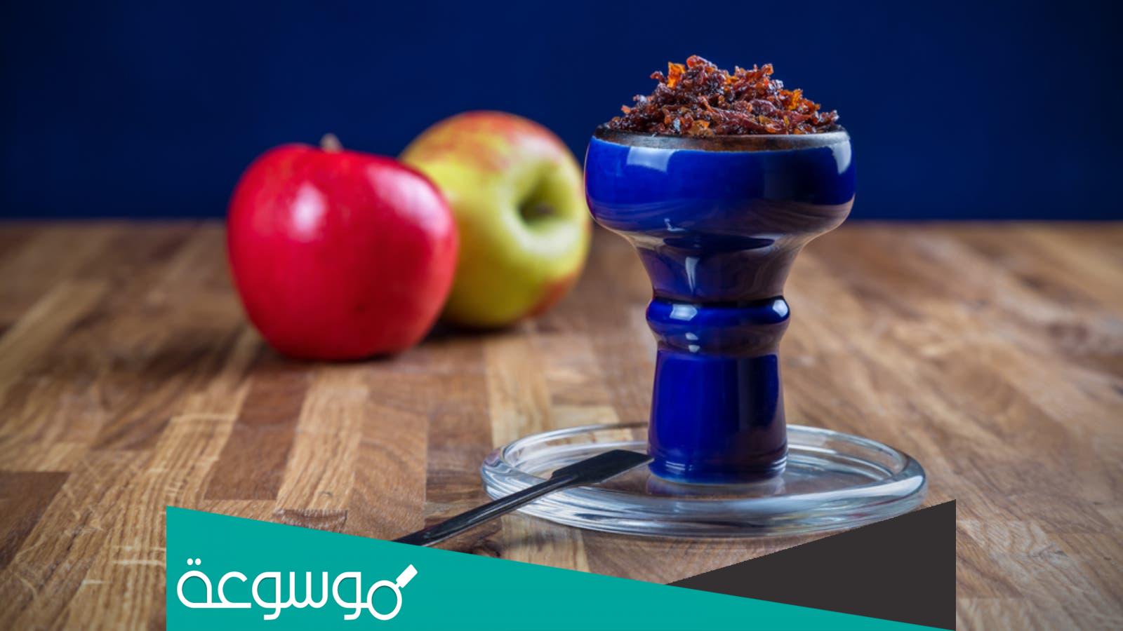 افضل أنواع المعسل في مصر 2023