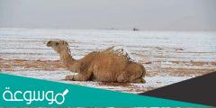 حقيقة تساقط الثلوج في مكة المكرمة
