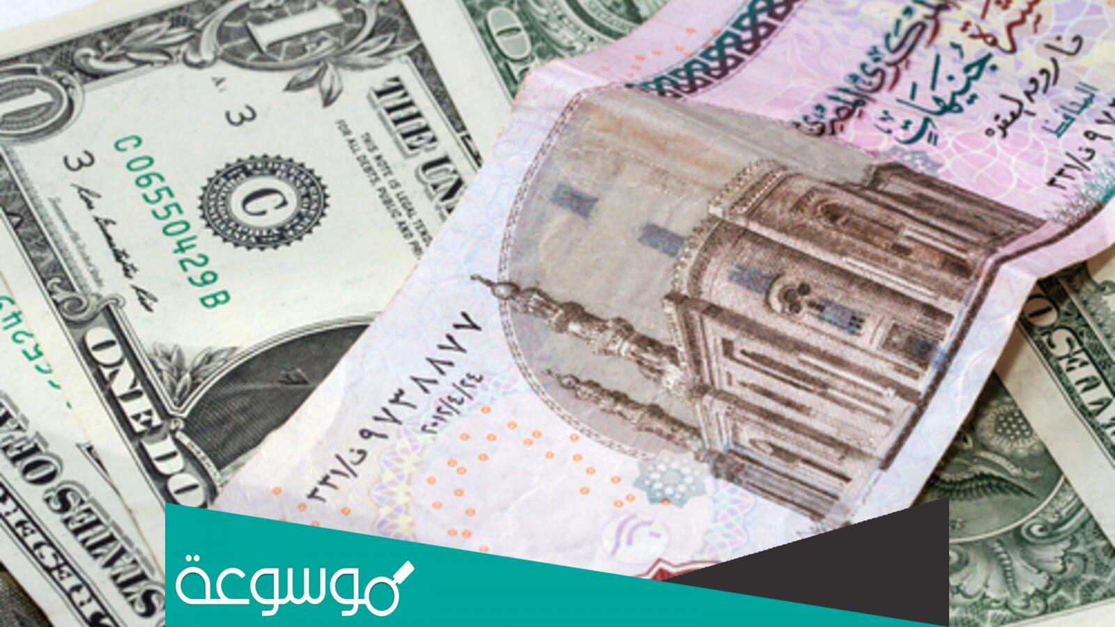كيف يتم حساب العائد الشهري لشهادات الاستثمار؟