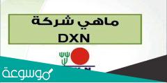كيفية الدخول إلى حسابي في شركة dxn eworld
