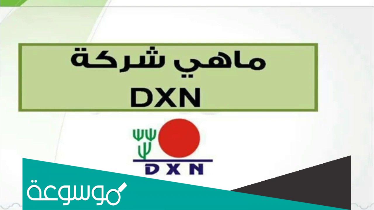 كيفية الدخول إلى حسابي في شركة dxn eworld