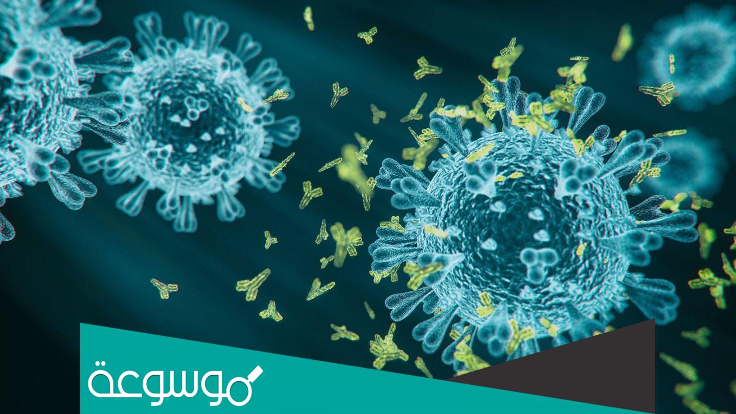 ما هو فيروس كراكن ويكيبيديا