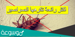 اكثر رائحة تكرهها الصراصير