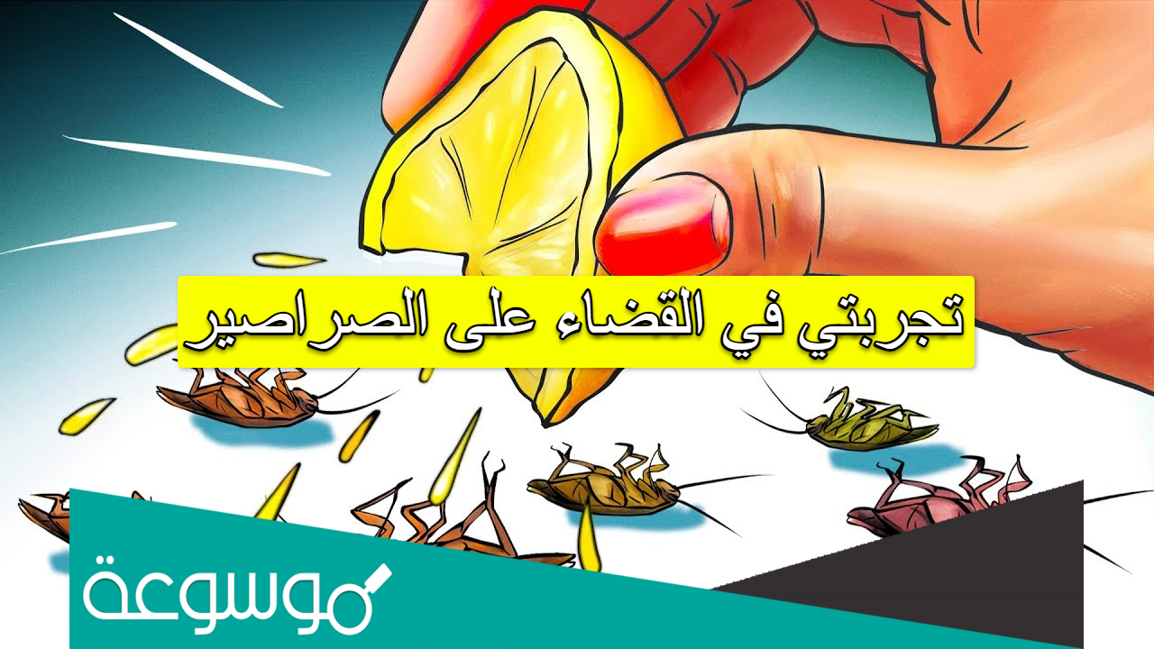 تجربتي في القضاء على الصراصير