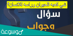 شي كعبه للحيوان وراسه للانسان؟
