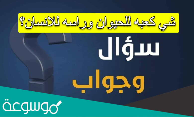 شي كعبه للحيوان وراسه للانسان؟
