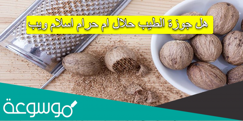 هل جوزة الطيب حلال ام حرام اسلام ويب