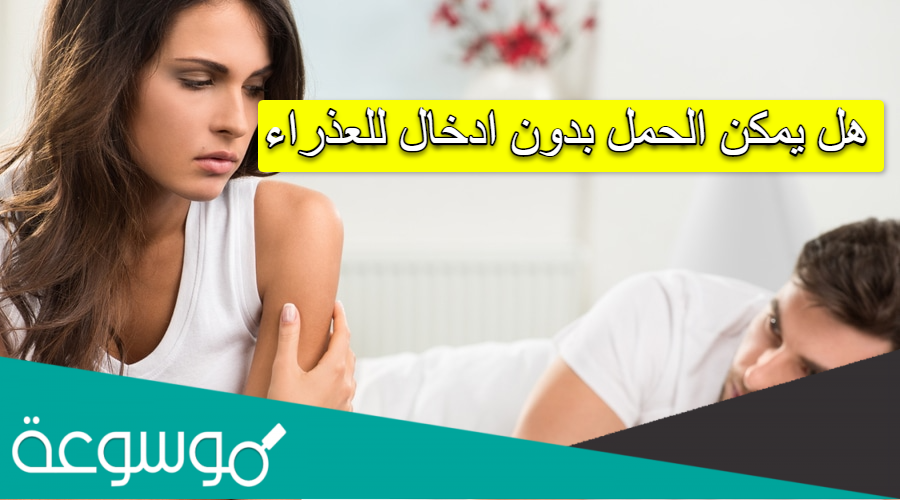 هل يمكن الحمل بدون ادخال للعذراء