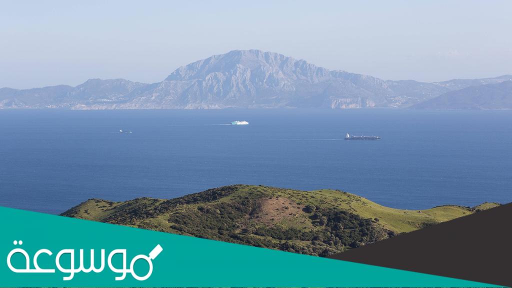 اي الخيارات التالية يصف مناخ جهه الجبال المواجهه للبحر