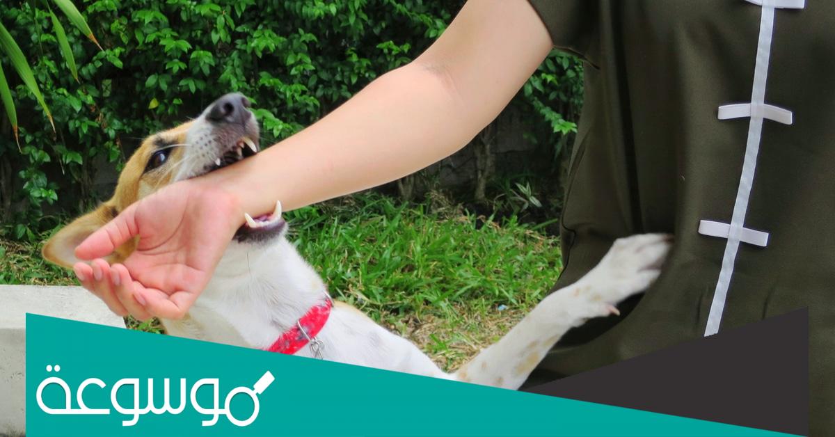 بحث حول داء الكلب سنة ثالثة