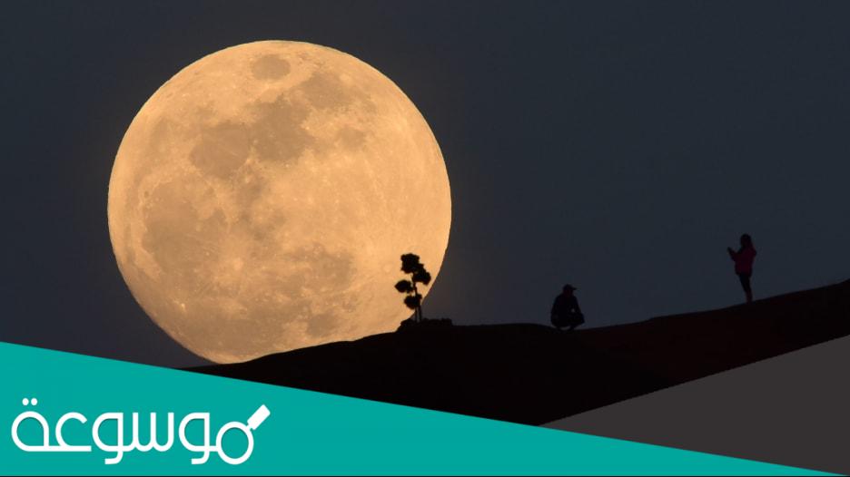 ما معنى أليس القمر جميلا في اليابان