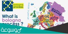 ما هو نظام بولونيا بروسس الدراسي