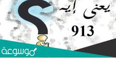 معني 913 في الشات