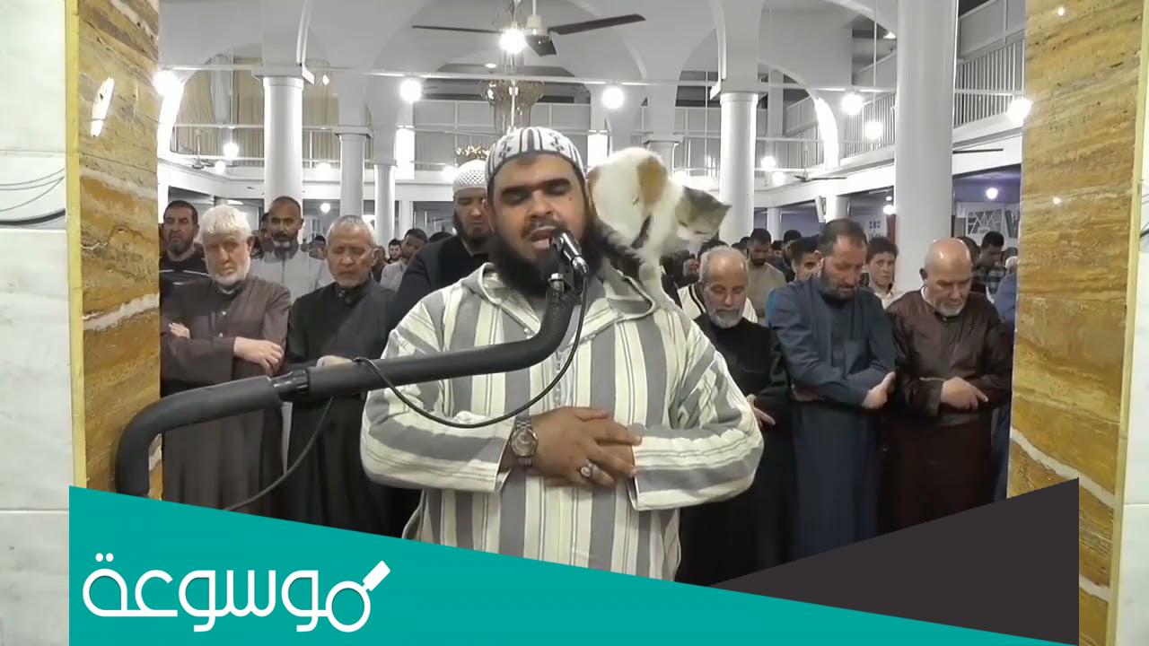 من هو الشيخ وليد مهساس الذي تسللت عليه القطة
