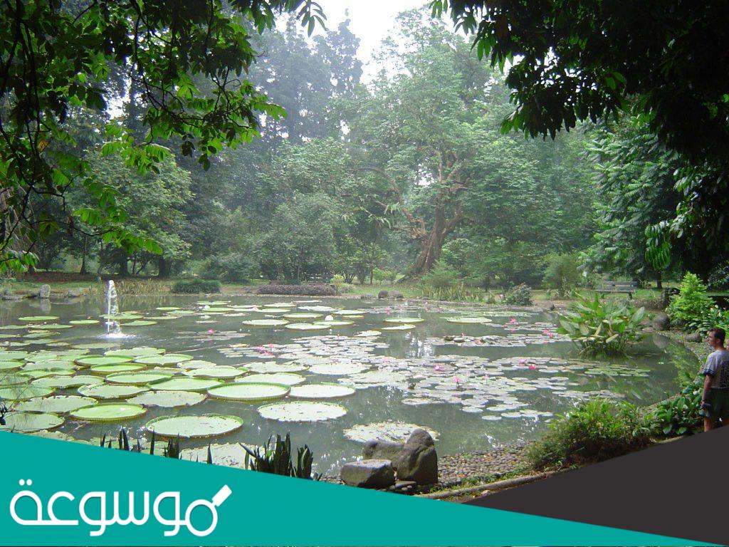 اين تقع بونشاك