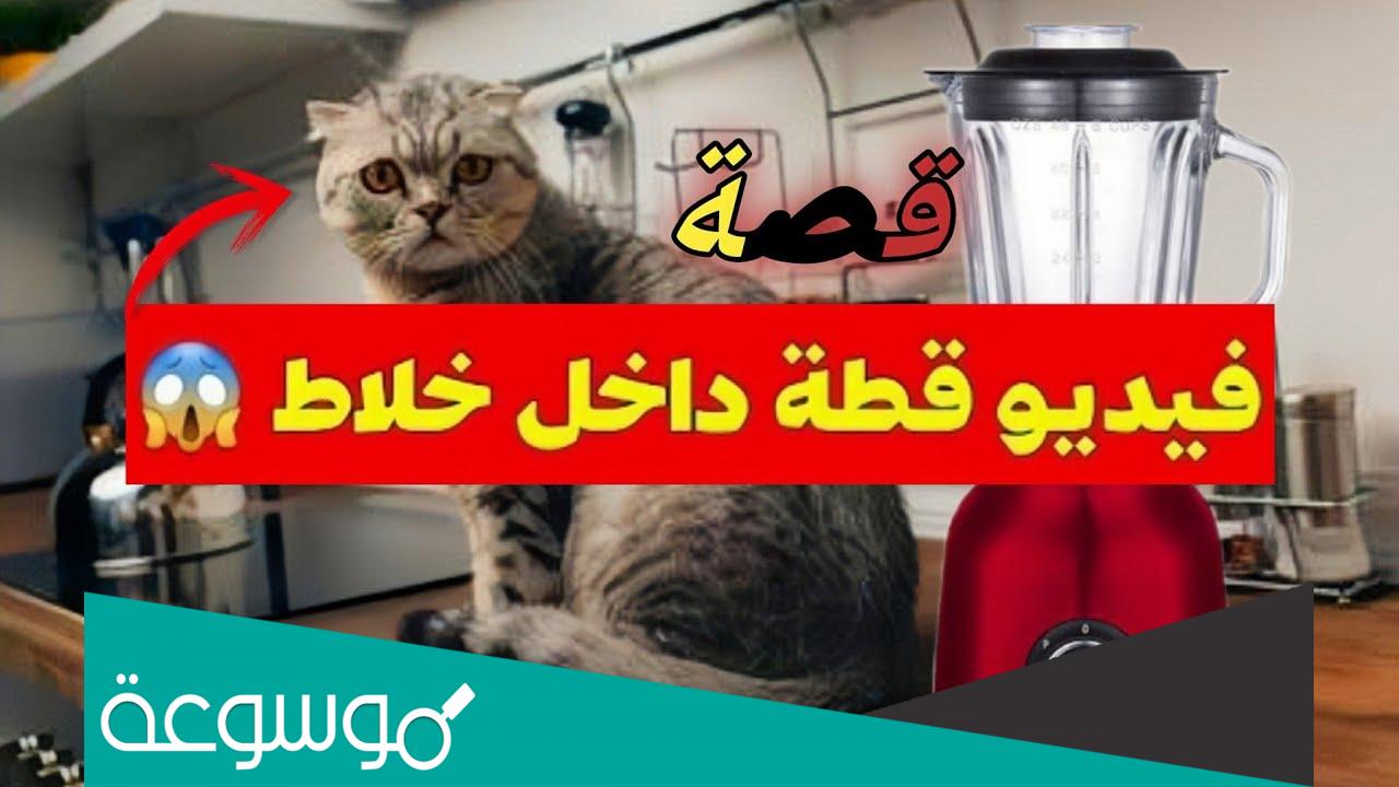 حقيقة فيديو القطه في الخلاط للشاب الصيني