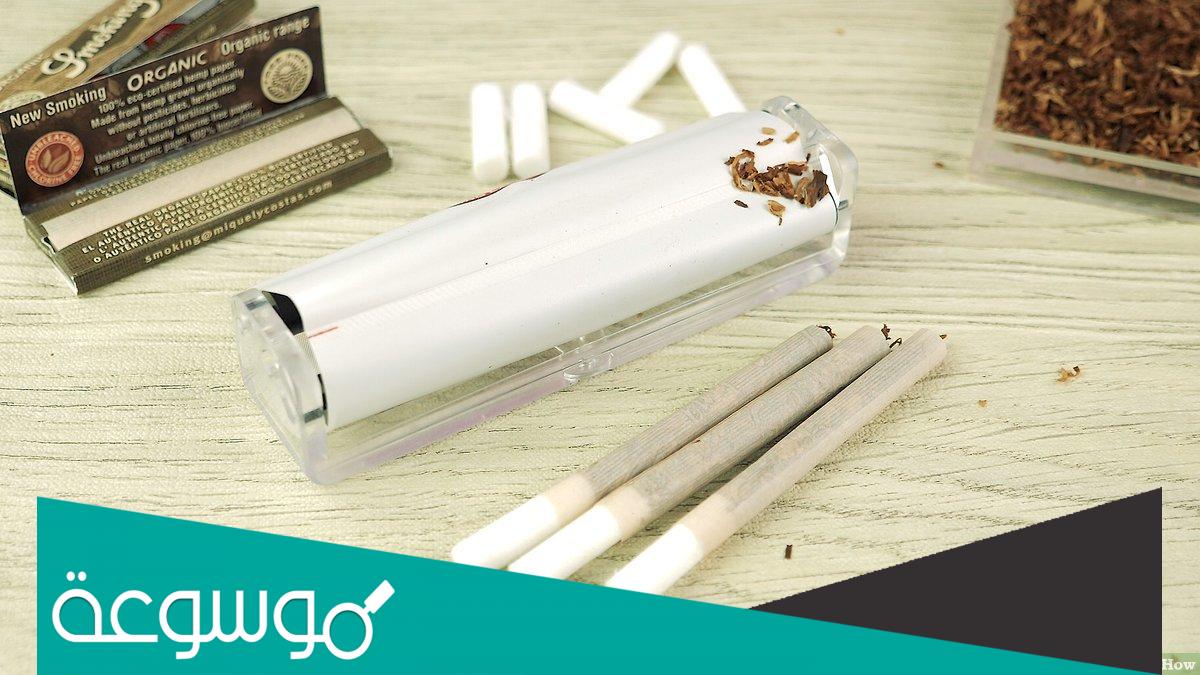 ما معنى بفرة بالمصري