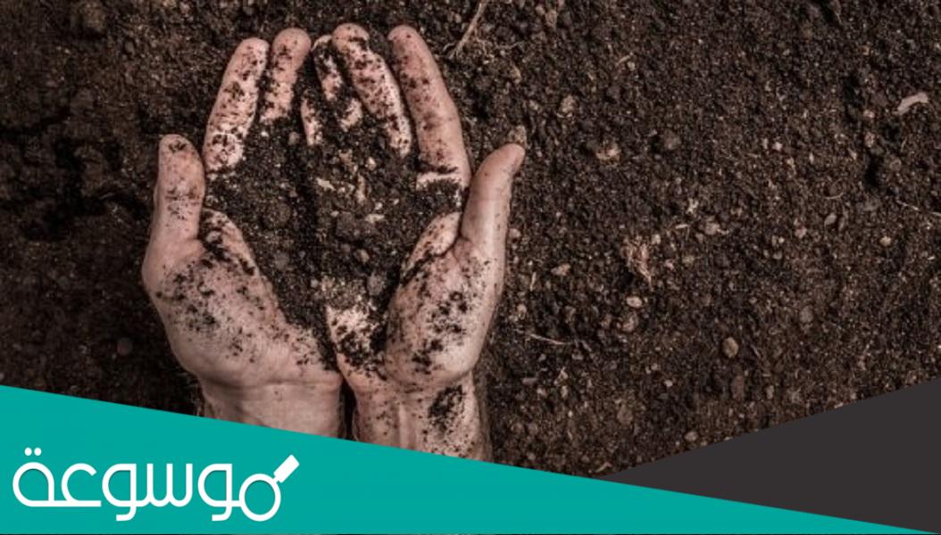 ما معنى كلمه الثرى