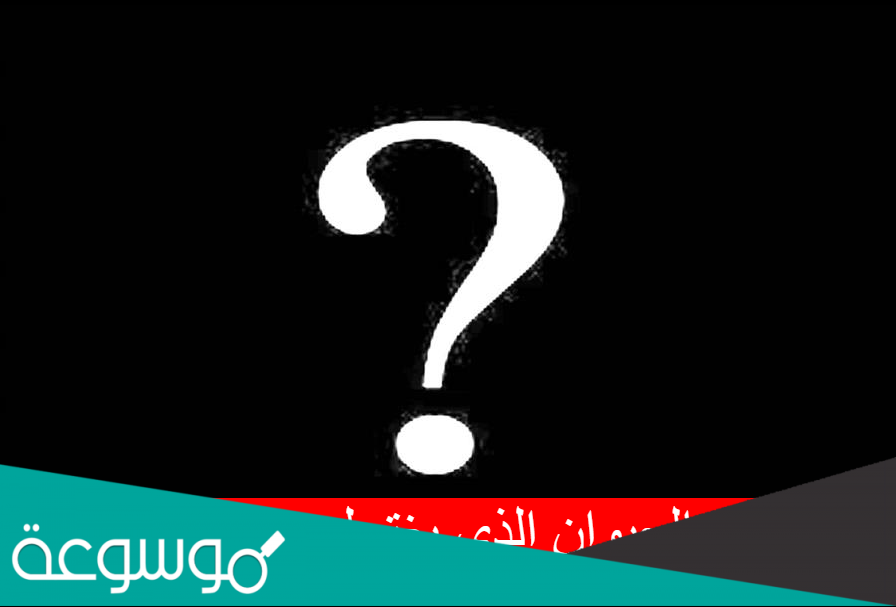 ما هو الحيوان الذي يغتسل من الجنابة ؟