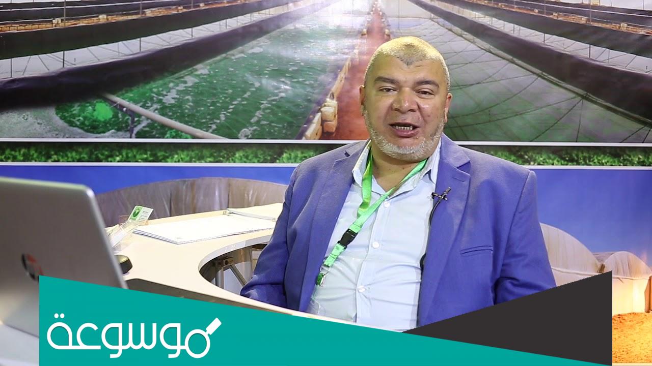 معلومات عن حاتم الكومي