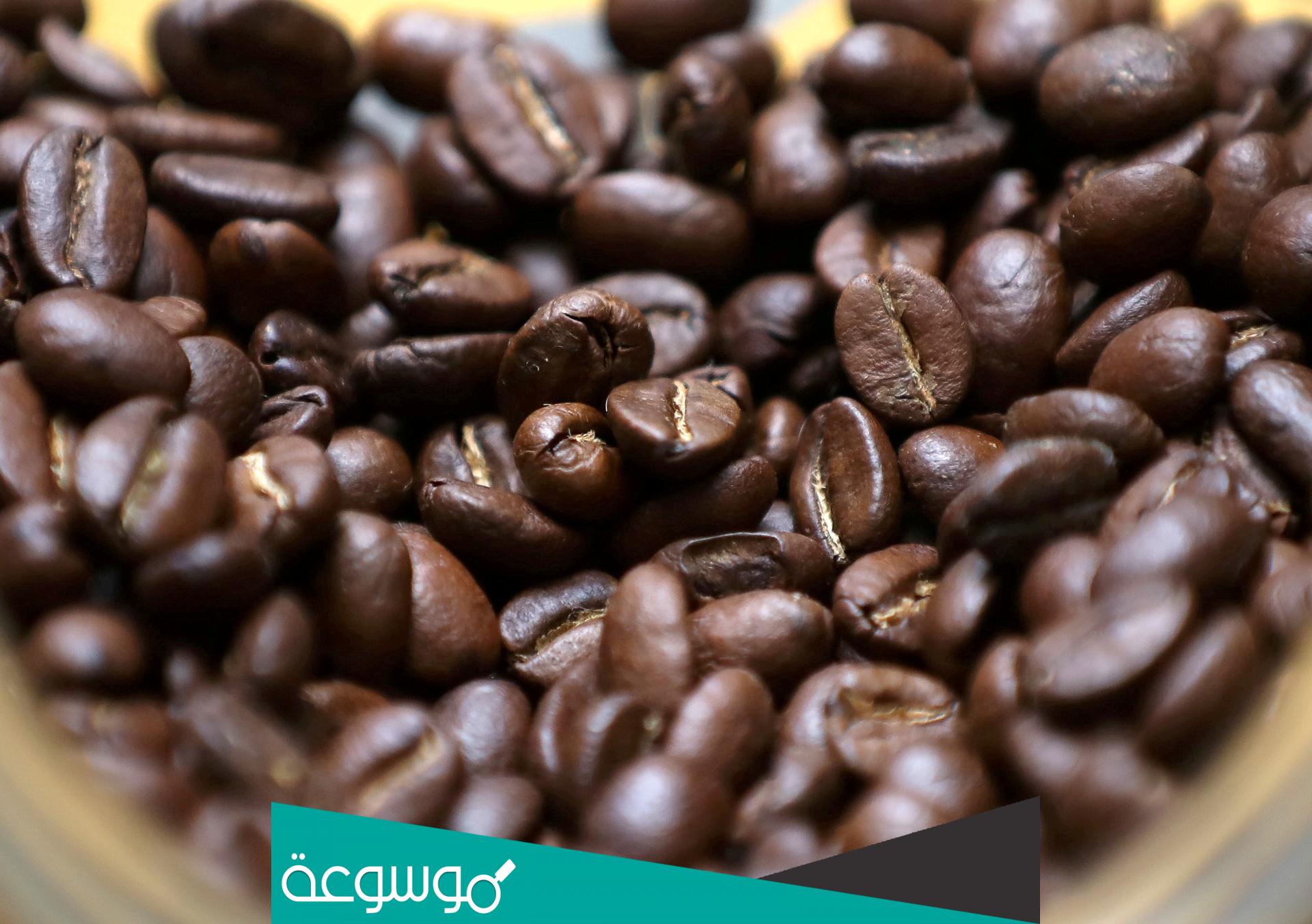 اول دولة اكتشفت القهوة هي