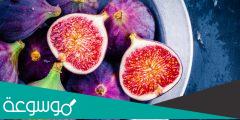 ما هو التين البرشومي ويكيبيديا