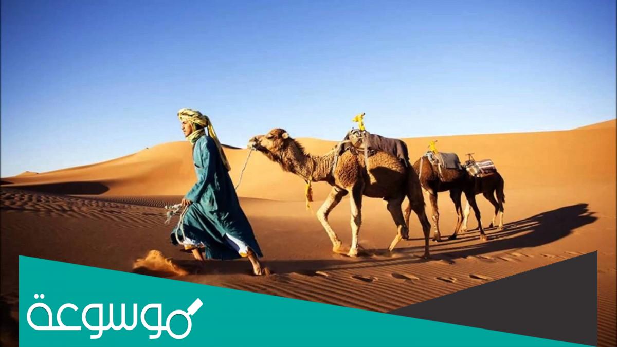 السلوم وش يرجعون