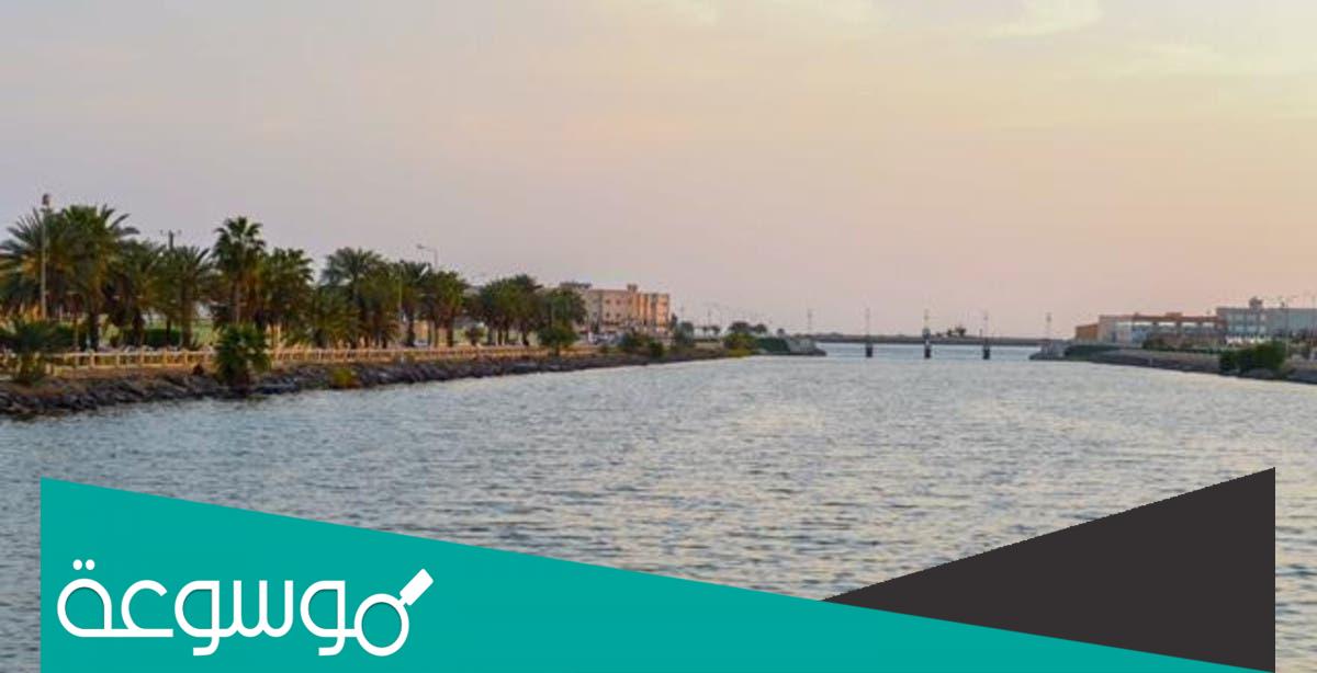 القنفذة تتبع اي منطقة