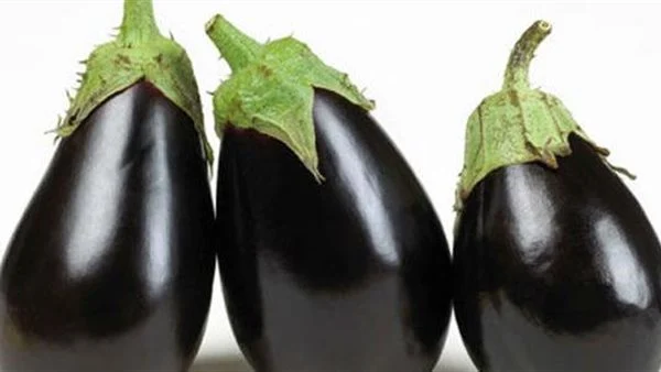 اول شجرة امنت بالله