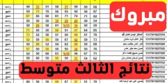 رابط نتائج الثالث متوسط 2023 الدور الاول